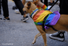 2023 07 08 - 18ª Marcha do Orgulho LGBTI+ do Porto - Parte 2